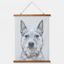 Search for queensland heeler posters Australian cattle dog