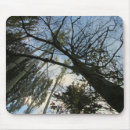 Search for washington state mousepads Forest