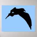 Search for gull posters Flying
