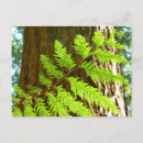 Recherche de saillant cartes postales Pour tous