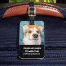 Recherche de corgi luggage tags Pembroke welsh corgi