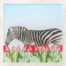 Search for tulip barware Black