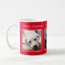 Search for three photo mugs Pet