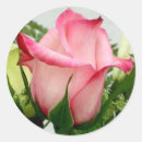 Search for fresh wedding stickers Pink