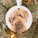 Search for mixed breed dog ornaments Puppy