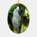 Search for parrot ornaments cockatoo