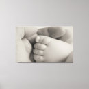 Search for new born Black and white