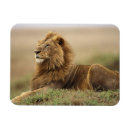 Search for grassland magnets Africa