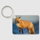 Search for fox graphic keychains Wildlife