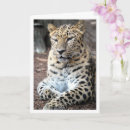 Search for leopard portrait cards Big cats