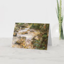 Search for trout christmas cards Fisherman