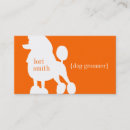 Recherche de groomer cartes visite Garde d'enfants d'animal familier