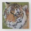 Recherche de gros chat horloges Animaux sauvages