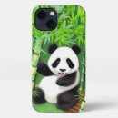 Search for bamboo cases Bear