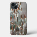 Search for focus on foreground cases Gallo images