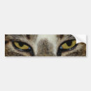 Search for eyes bumper stickers Cat
