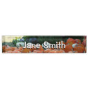 Search for pumpkin patch office supplies Fall