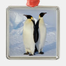 Search for antarctica ornaments Penguin