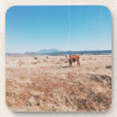 Search for arizona coasters Cool