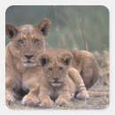 Search for okavango delta stickers Botswana