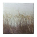 Recherche de dunes carreaux Paysages