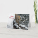 Search for water christmas cards Wildlife