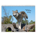 Recherche de loups calendriers Faune