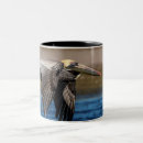 Recherche de pelican tasses Faune