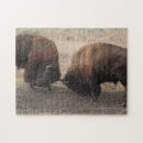 Search for bison puzzles Winter