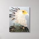 Search for falcone art Goshawk