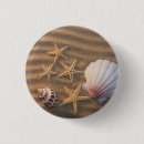 Search for shells buttons Shore
