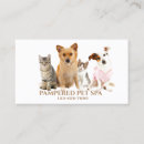 Recherche de chaton rose cartes visite Animaux domestiques