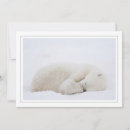 Search for manitoba cards Snow