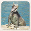 Recherche de faune dessous de verres Tropical