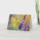 Recherche de herboriste vœux cartes Fleurs
