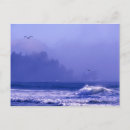 Search for olympic national park postcards Coast