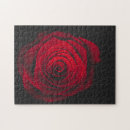 Recherche de roses rouges puzzles Rose rouge