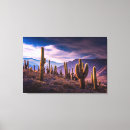 Search for desert cactus canvas prints Landscape