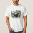 Search for magpie tshirts Wildlife