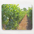 Search for viticulture electronics Wine