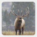 Search for bugle stickers Wildlife