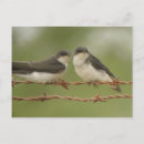 Recherche de swallower cartes postales Avale
