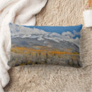 Search for aspen pillows Mountains