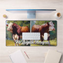 Search for beef mousepads Cattle