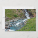 Search for animas Colorado