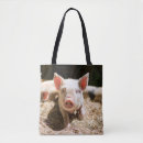 Search for piglet bags Farm animal