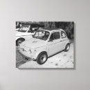 Recherche de fiat 500 Cru