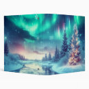 Search for frozen binders Winter