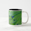 Search for florida wildlife mugs Animals