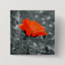 Search for colour imaging buttons Beauty